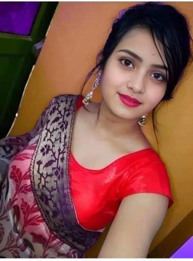 Udaipur Call Girls
